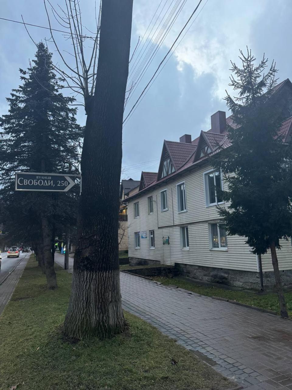 Girske Povitria 2 Villa Yaremche Eksteriør billede